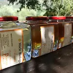 Vakantieboerderij Podere Le Pialle