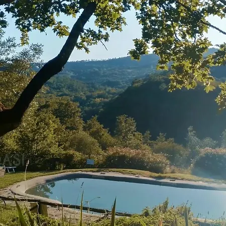 Podere Le Pialle Pontassieve