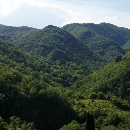 Podere Le Pialle Vakantieboerderij Pontassieve